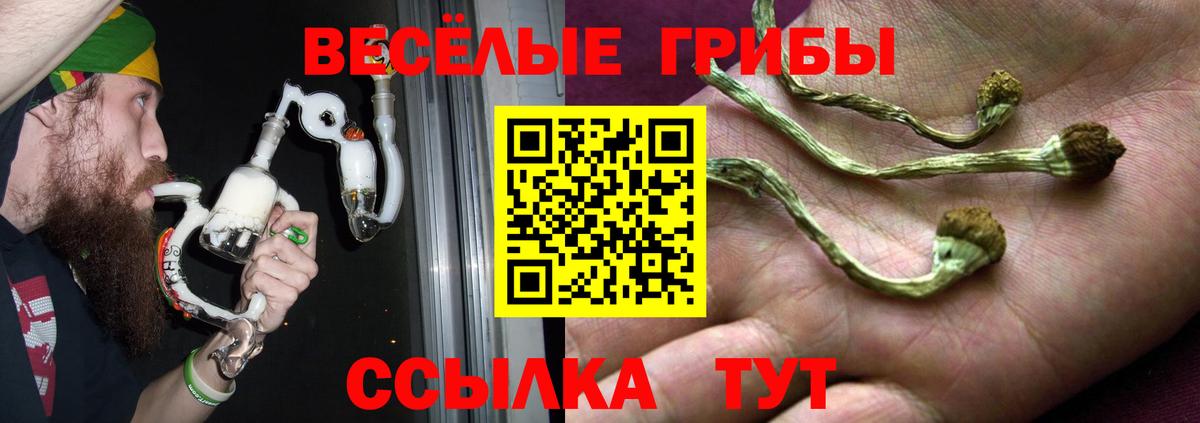 Меф МЯУ МЯУ   Каннабис  ТГК  ГАШИШ  Нарткала  АМФ   Вход с VPN 